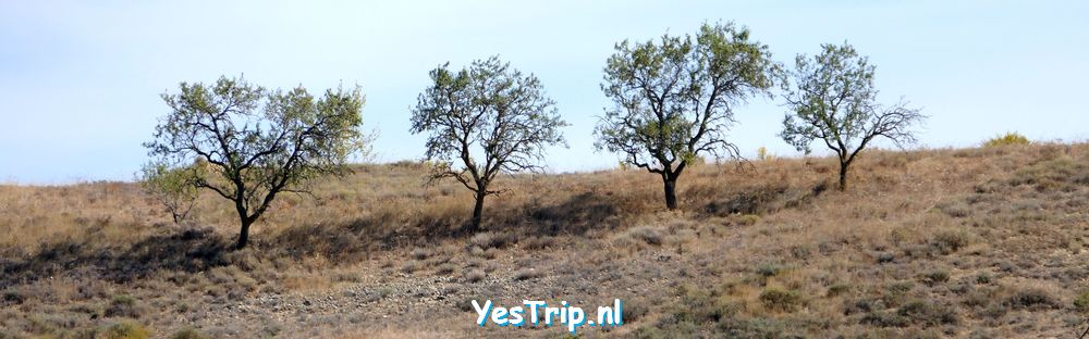 xxx From Olite to Villafranca